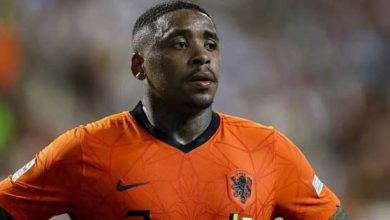 ستيفن بيرجوين