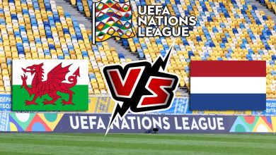 هولندا و ويلز