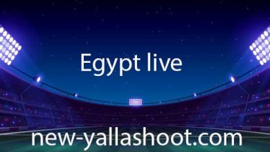 Egypt live