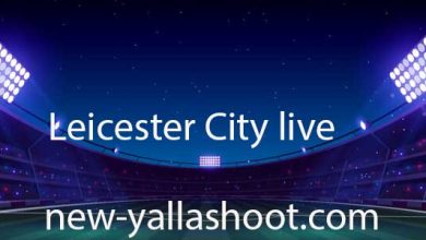 Leicester City live