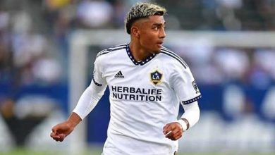 جوليان أراوخو